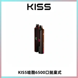 KIS5WAGOO哇酷6500口拋棄式 | 自由混搭雙口味 | 雙芯組合