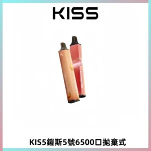KIS5鎧斯5號一次性6500口磁吸式拋棄式電子煙#自由混搭#